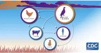 So far, H5N1 has not spread from human to human.