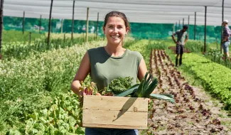 Farm workers can be unaware of Dactha's use on fields. (Adobe Stock photo)