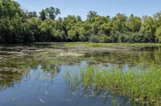 Strategic use of rural land and water bodies could help cool cities. (Adobe Stock photo)