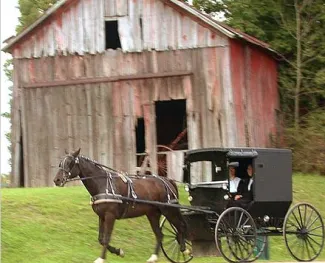 Horse-drawn buggy in rural Holmes County (Wikipedia photo)