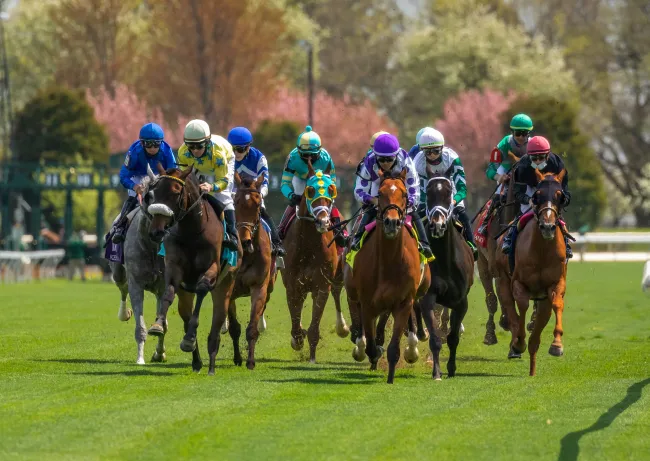 Horses running a race