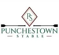 Punchestown Stable