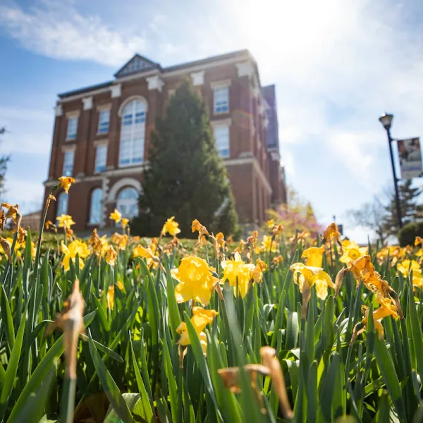 University of Kentucky Campus