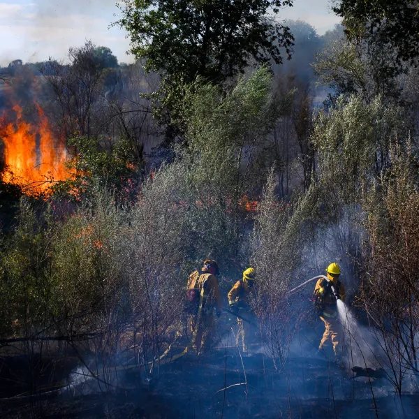 This photo, by Arden Barnes, won 2nd Place Spot News.