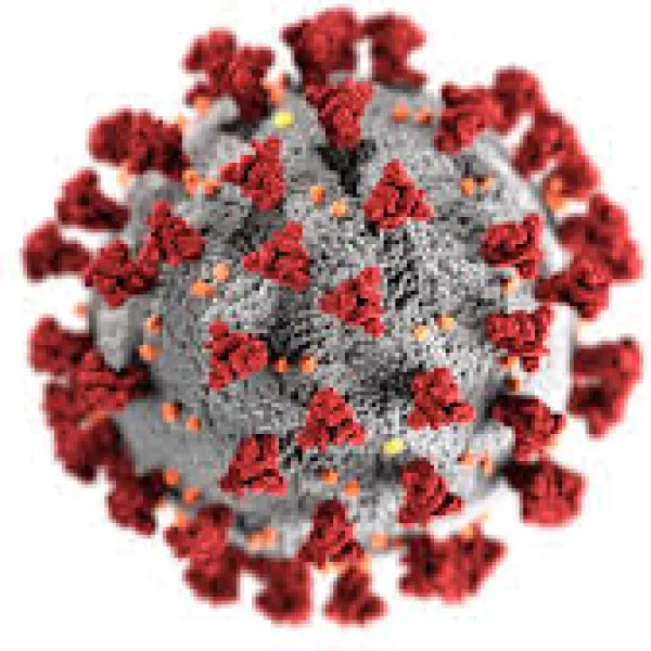 Coronavirus